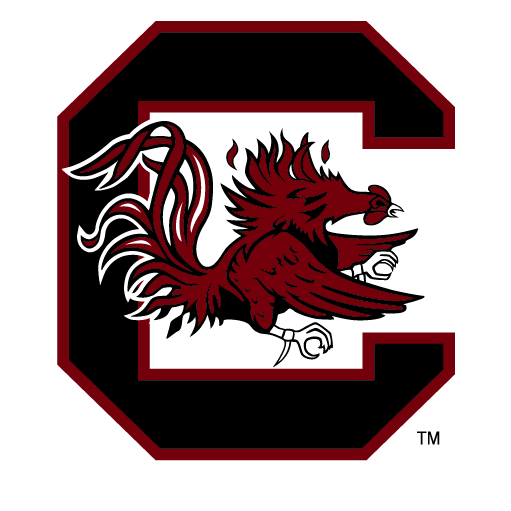 University of South Carolina Gamecock Balloons